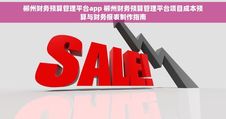 郴州财务预算管理平台app 郴州财务预算管理平台项目成本预算与财务报表制作指南