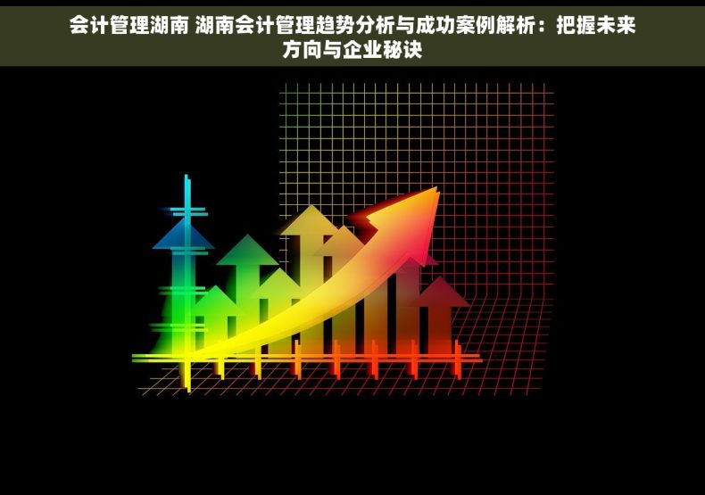 会计管理湖南 湖南会计管理趋势分析与成功案例解析：把握未来方向与企业秘诀