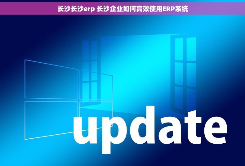 长沙长沙erp 长沙企业如何高效使用ERP系统
