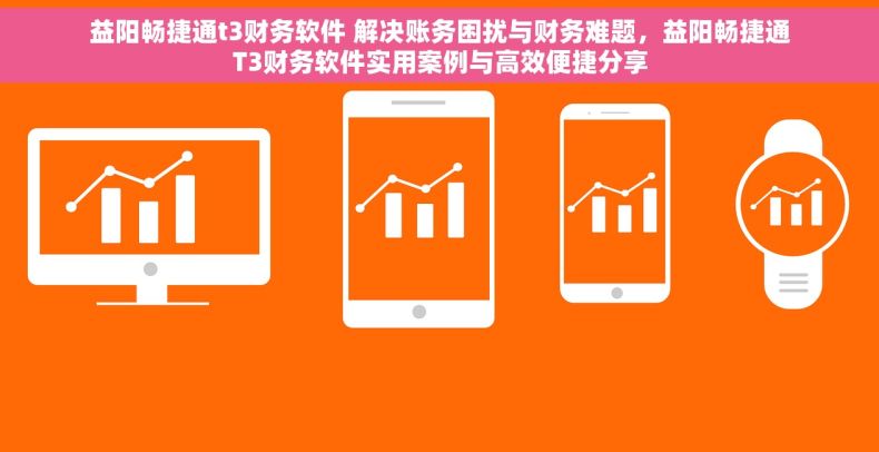 益阳畅捷通t3财务软件 解决账务困扰与财务难题，益阳畅捷通T3财务软件实用案例与高效便捷分享