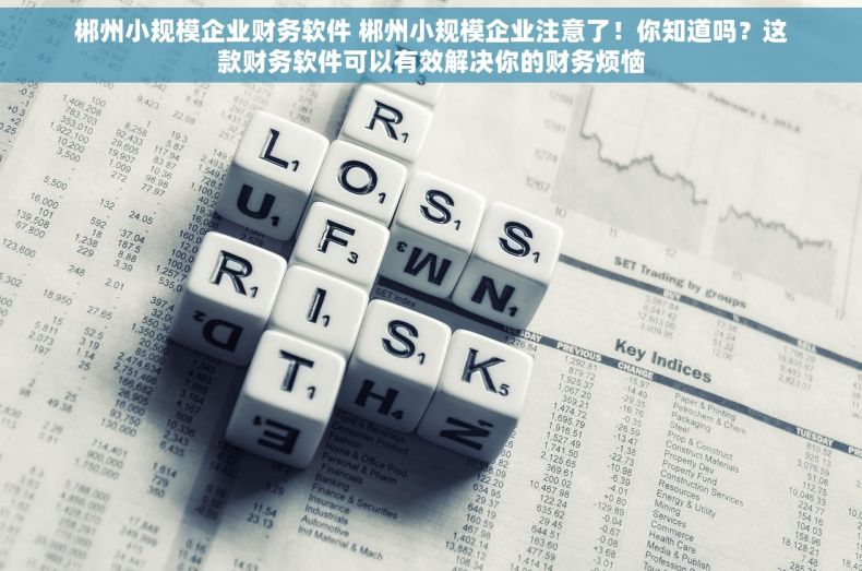 郴州小规模企业财务软件 郴州小规模企业注意了！你知道吗？这款财务软件可以有效解决你的财务烦恼