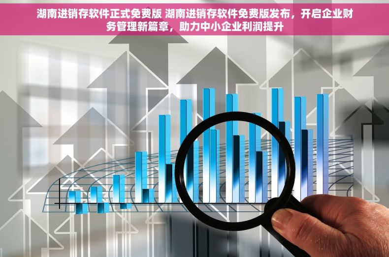 湖南进销存软件正式免费版 湖南进销存软件免费版发布，开启企业财务管理新篇章，助力中小企业利润提升