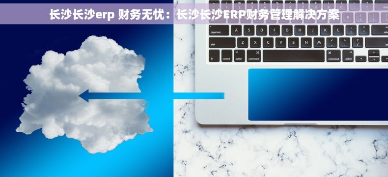 长沙长沙erp 财务无忧：长沙长沙ERP财务管理解决方案