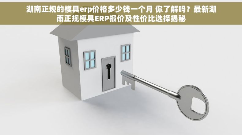 湖南正规的模具erp价格多少钱一个月 你了解吗？最新湖南正规模具ERP报价及性价比选择揭秘