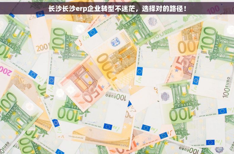 长沙长沙erp企业转型不迷茫，选择对的路径！