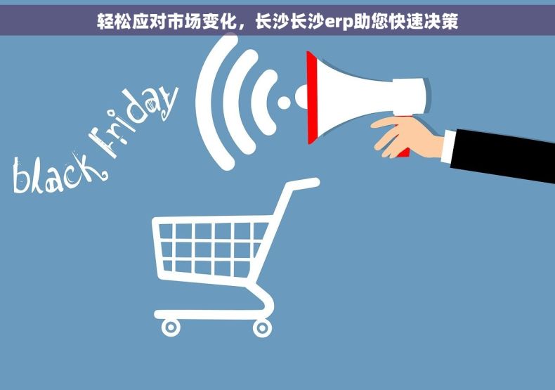 轻松应对市场变化，长沙长沙erp助您快速决策