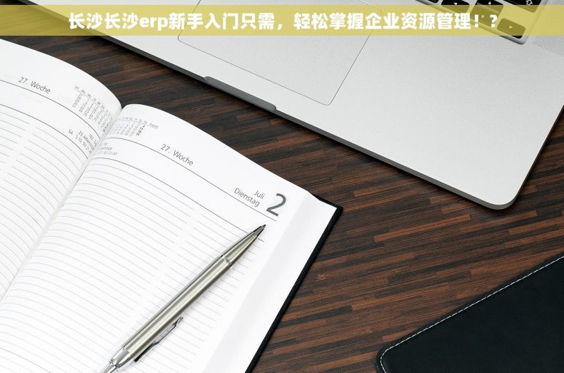 长沙长沙erp新手入门只需，轻松掌握企业资源管理！?