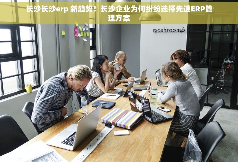 长沙长沙erp 新趋势！长沙企业为何纷纷选择先进ERP管理方案
