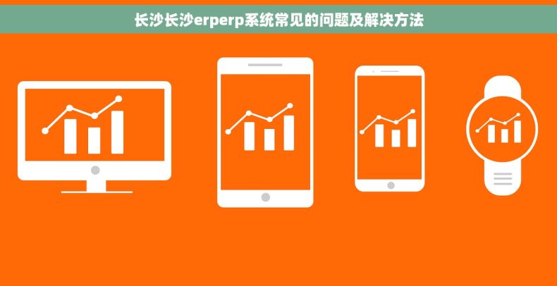长沙长沙erperp系统常见的问题及解决方法