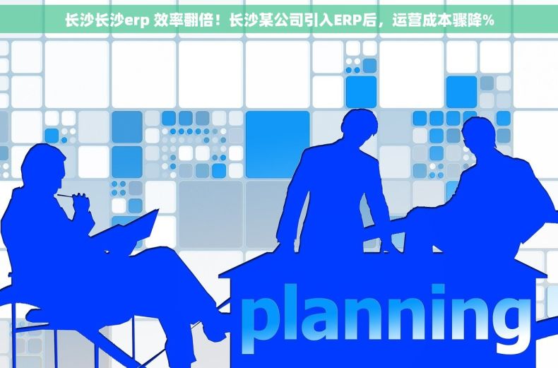 长沙长沙erp 效率翻倍！长沙某公司引入ERP后，运营成本骤降%