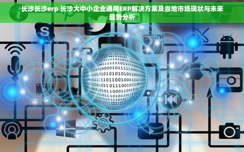 长沙长沙erp 长沙大中小企业通用ERP解决方案及当地市场现状与未来趋势分析