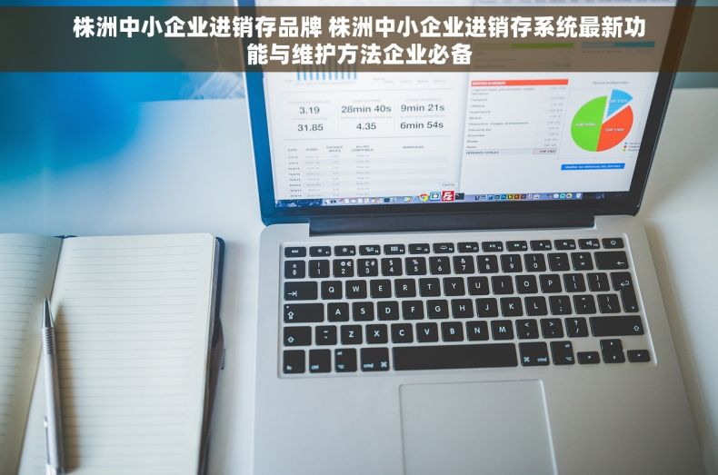 株洲中小企业进销存品牌 株洲中小企业进销存系统最新功能与维护方法企业必备