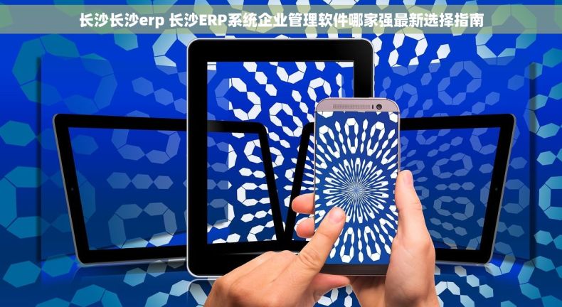长沙长沙erp 长沙ERP系统企业管理软件哪家强最新选择指南