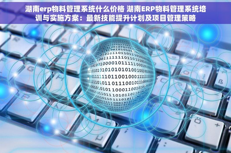 湖南erp物料管理系统什么价格 湖南ERP物料管理系统培训与实施方案：最新技能提升计划及项目管理策略