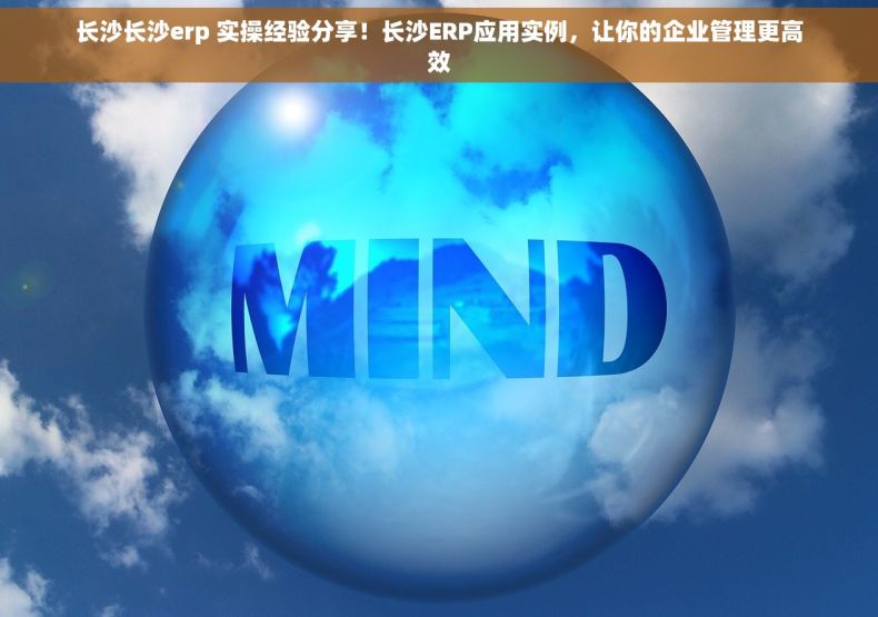 长沙长沙erp 实操经验分享！长沙ERP应用实例，让你的企业管理更高效