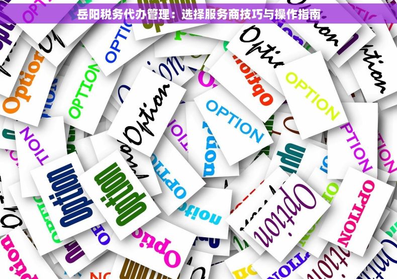 岳阳税务代办管理：选择服务商技巧与操作指南