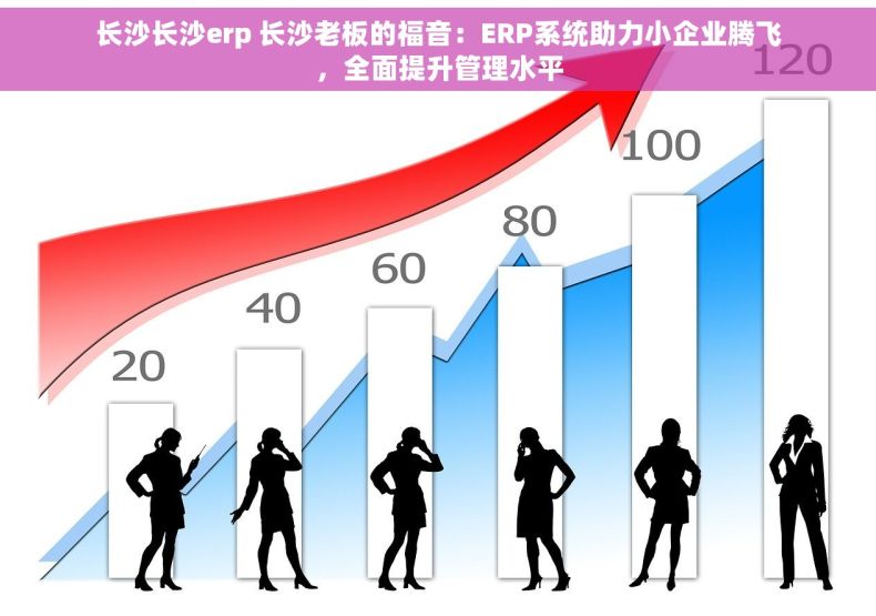 长沙长沙erp 长沙老板的福音：ERP系统助力小企业腾飞，全面提升管理水平