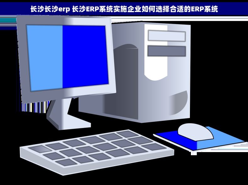 长沙长沙erp 长沙ERP系统实施企业如何选择合适的ERP系统