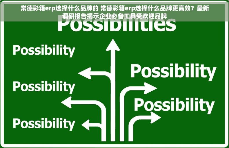 常德彩箱erp选择什么品牌的 常德彩箱erp选择什么品牌更高效？最新调研报告揭示企业必备工具受欢迎品牌