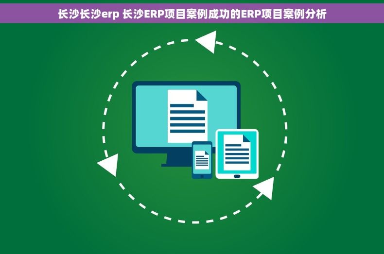 长沙长沙erp 长沙ERP项目案例成功的ERP项目案例分析