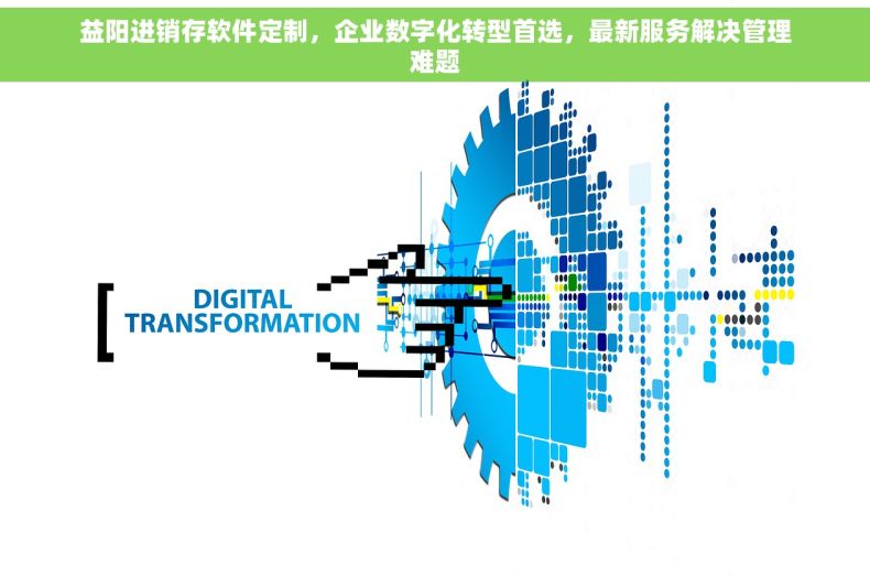 益阳进销存软件定制，企业数字化转型首选，最新服务解决管理难题