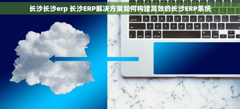 长沙长沙erp 长沙ERP解决方案如何构建高效的长沙ERP系统