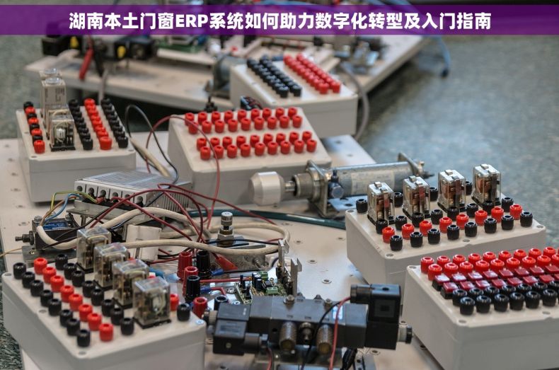 湖南本土门窗ERP系统如何助力数字化转型及入门指南