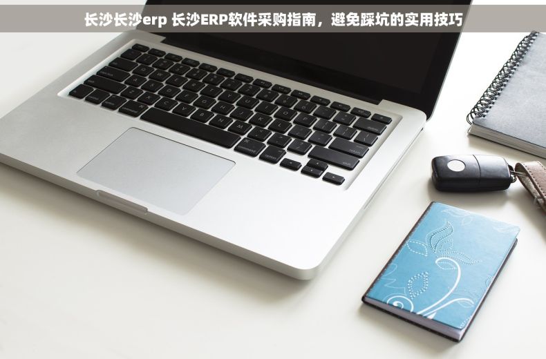 长沙长沙erp 长沙ERP软件采购指南，避免踩坑的实用技巧