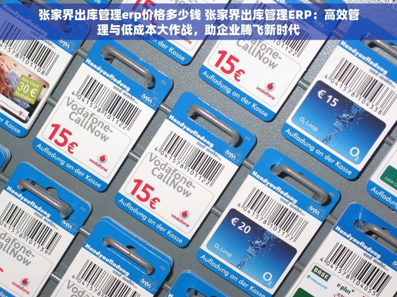 张家界出库管理erp价格多少钱 张家界出库管理ERP：高效管理与低成本大作战，助企业腾飞新时代