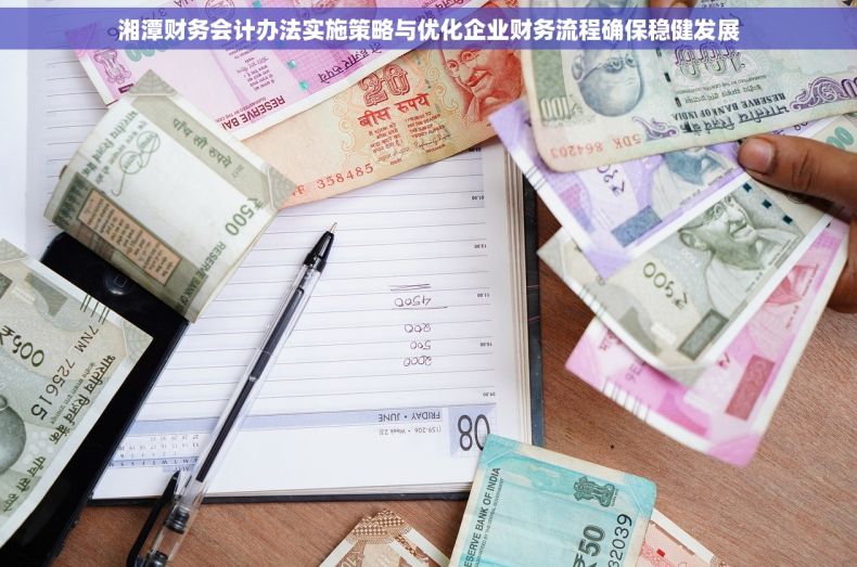 湘潭财务会计办法实施策略与优化企业财务流程确保稳健发展