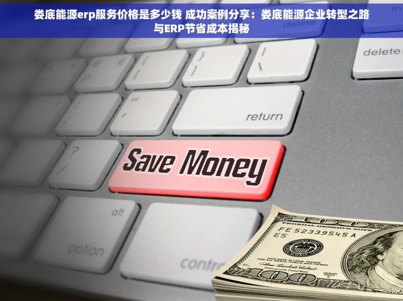 娄底能源erp服务价格是多少钱 成功案例分享：娄底能源企业转型之路与ERP节省成本揭秘