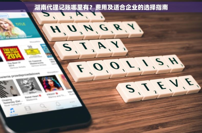 湖南代理记账哪里有？费用及适合企业的选择指南