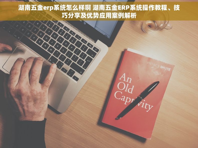 湖南五金erp系统怎么样啊 湖南五金ERP系统操作教程、技巧分享及优势应用案例解析