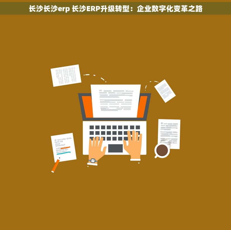 长沙长沙erp 长沙ERP升级转型：企业数字化变革之路