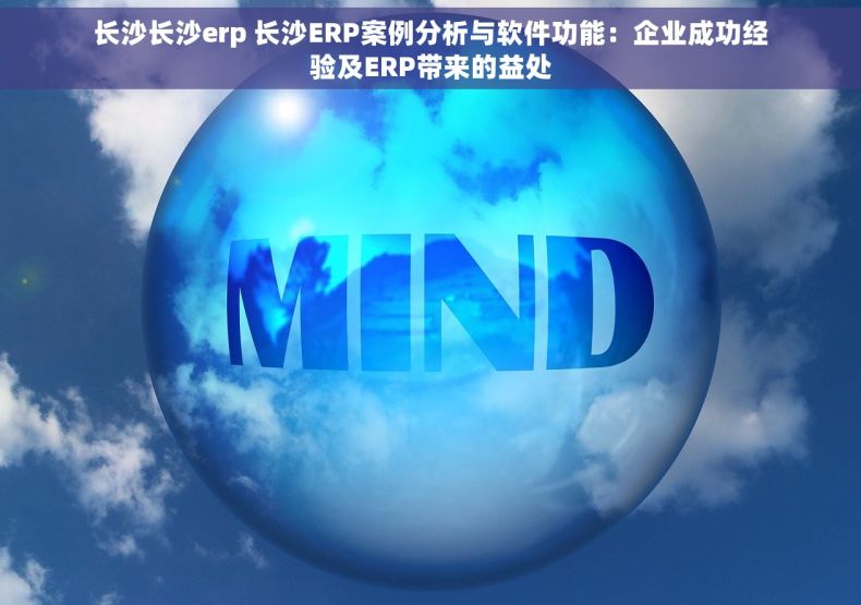 长沙长沙erp 长沙ERP案例分析与软件功能：企业成功经验及ERP带来的益处