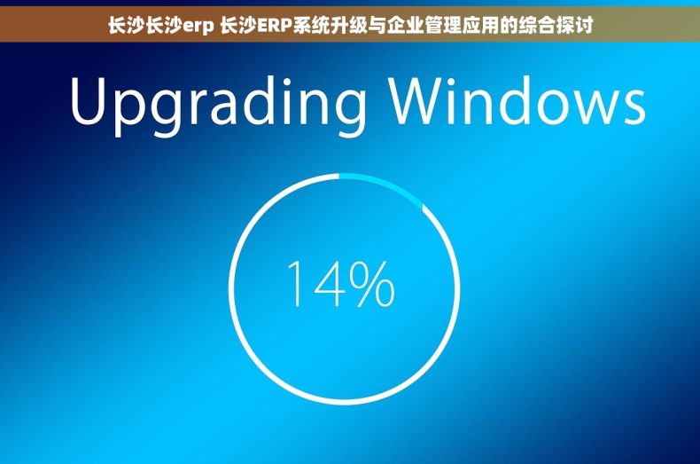 长沙长沙erp 长沙ERP系统升级与企业管理应用的综合探讨