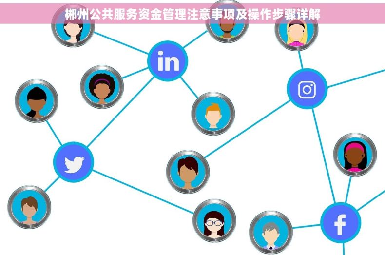 郴州公共服务资金管理注意事项及操作步骤详解
