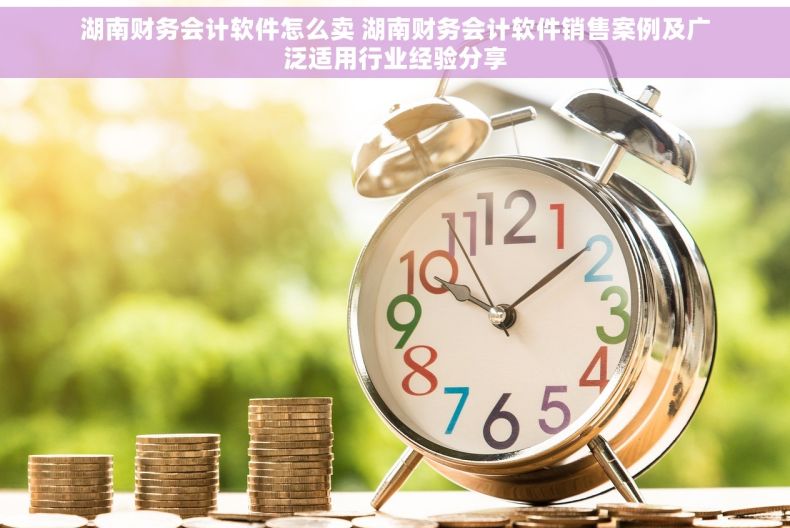 湖南财务会计软件怎么卖 湖南财务会计软件销售案例及广泛适用行业经验分享