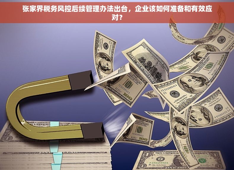 张家界税务风控后续管理办法出台，企业该如何准备和有效应对？