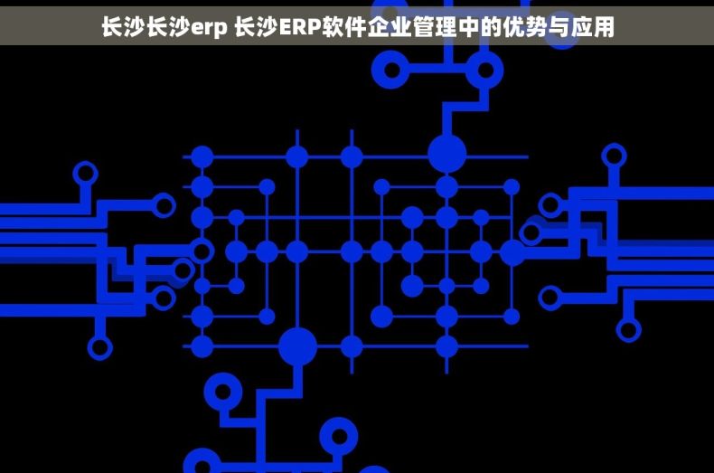 长沙长沙erp 长沙ERP软件企业管理中的优势与应用