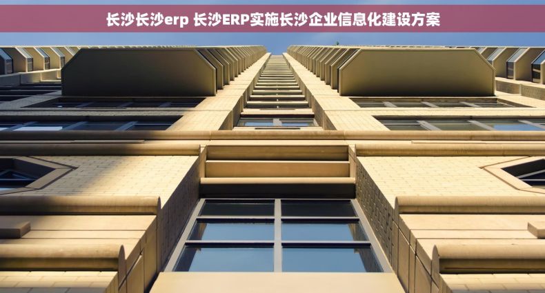 长沙长沙erp 长沙ERP实施长沙企业信息化建设方案