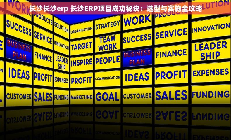 长沙长沙erp 长沙ERP项目成功秘诀：选型与实施全攻略