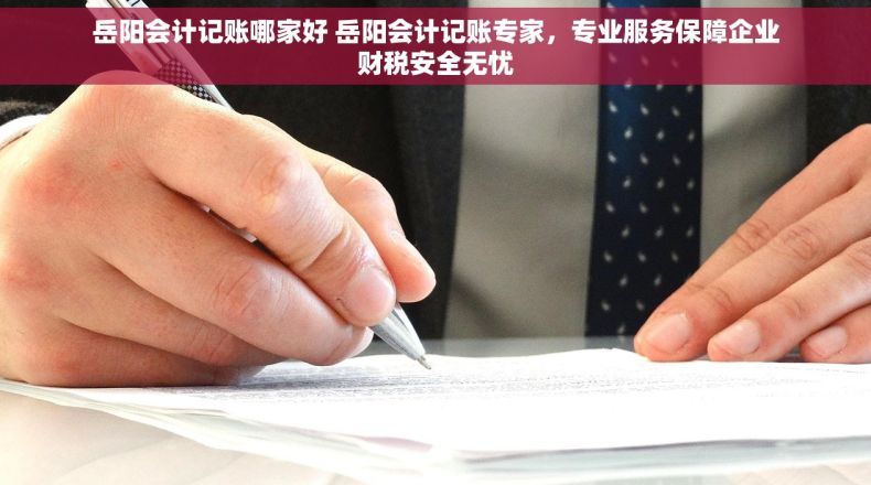 岳阳会计记账哪家好 岳阳会计记账专家，专业服务保障企业财税安全无忧