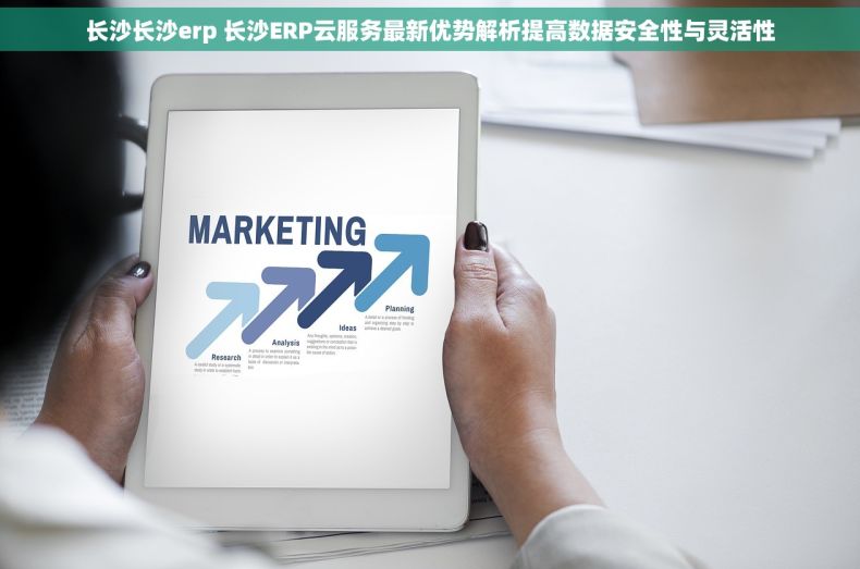 长沙长沙erp 长沙ERP云服务最新优势解析提高数据安全性与灵活性