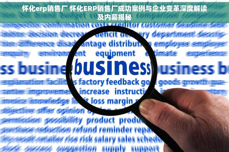 怀化erp销售厂 怀化ERP销售厂成功案例与企业变革深度解读及内幕揭秘
