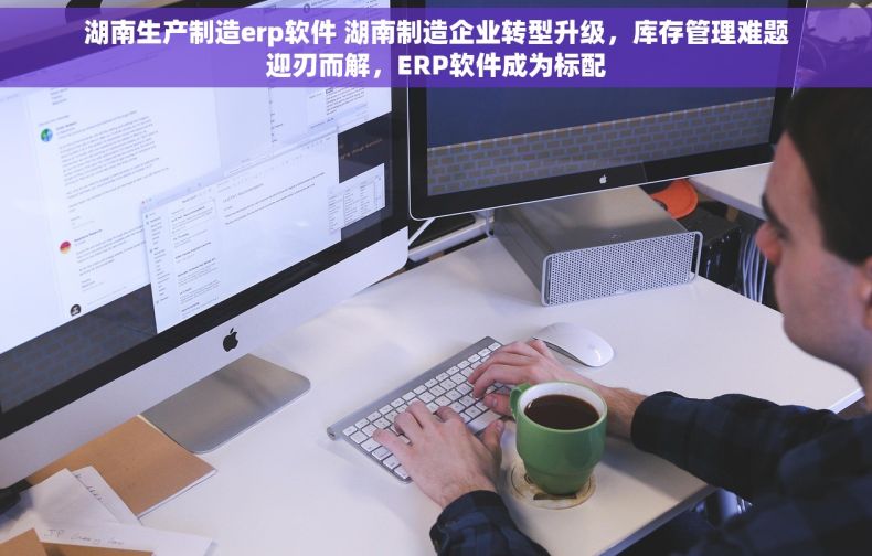 湖南生产制造erp软件 湖南制造企业转型升级，库存管理难题迎刃而解，ERP软件成为标配