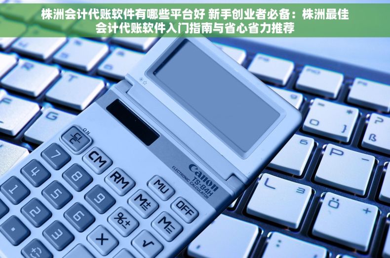 株洲会计代账软件有哪些平台好 新手创业者必备：株洲最佳会计代账软件入门指南与省心省力推荐