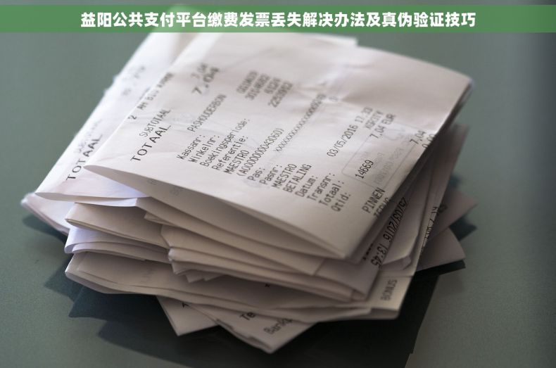 益阳公共支付平台缴费发票丢失解决办法及真伪验证技巧