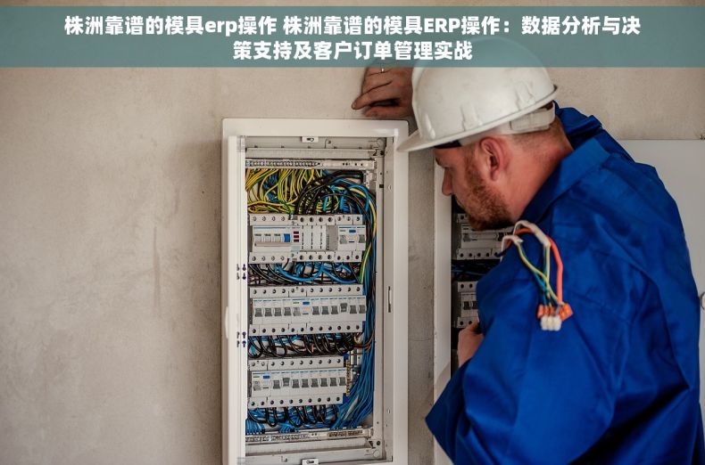 株洲靠谱的模具erp操作 株洲靠谱的模具ERP操作：数据分析与决策支持及客户订单管理实战