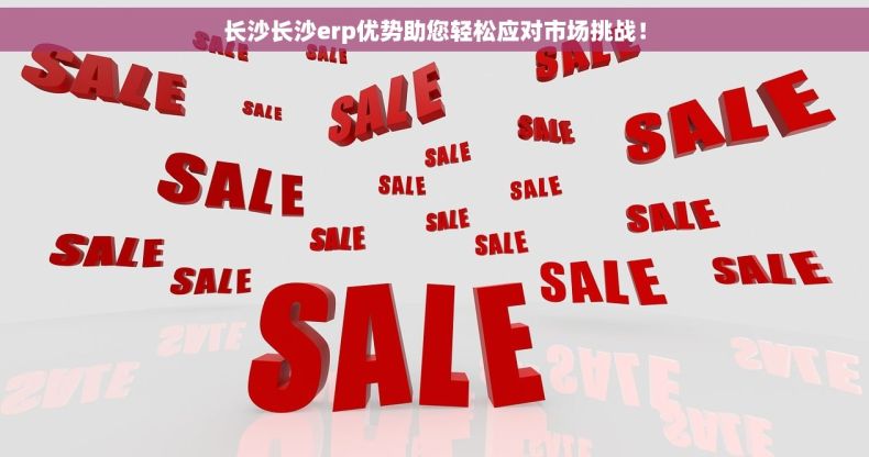 长沙长沙erp优势助您轻松应对市场挑战！